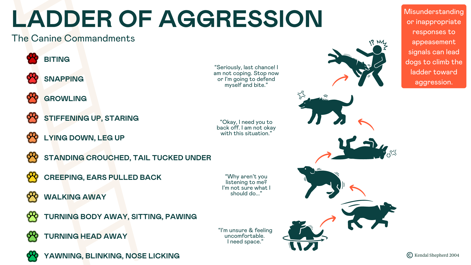 11 Key Signs of Aggression in Dogs | Learn What to Look For