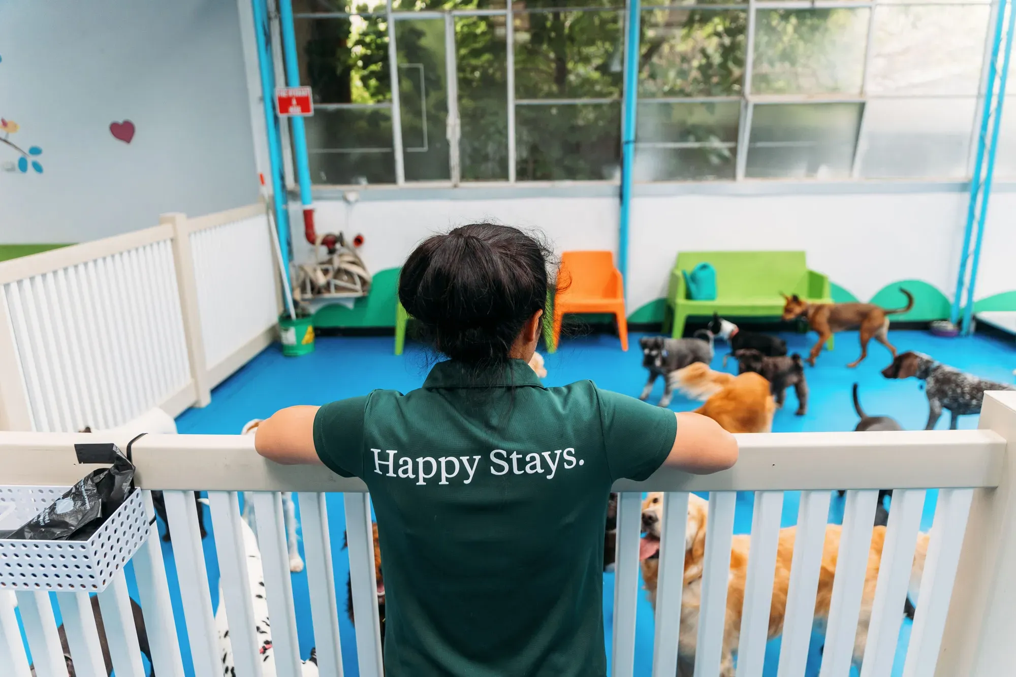 daycare chó đà nẵng